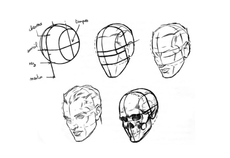 étapes pour apprendre à dessiner un visage, synthèse de la construction d'un visage de trois quarts selon la méthode d'Andrew Loomis.