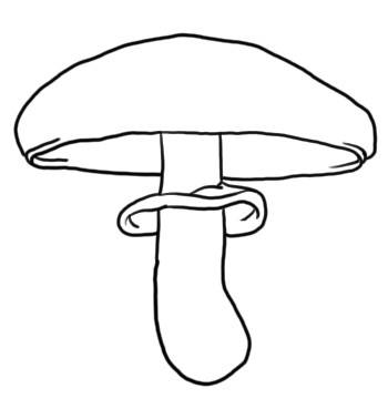 dessiner un champignon