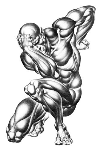 burne hogarth anatomie illustration