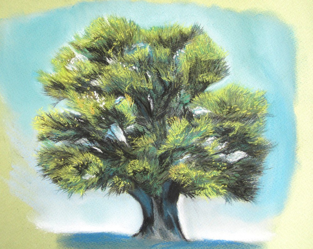 dessin arbre pastel sec