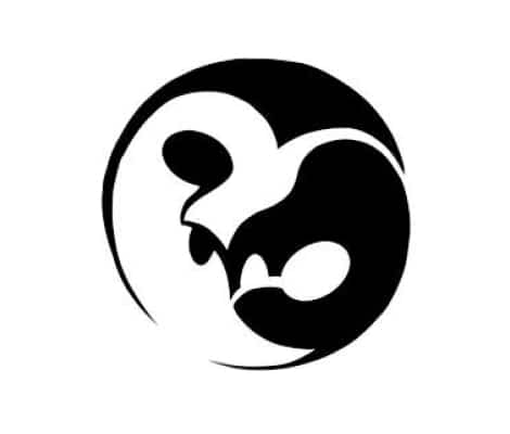 aikido logo