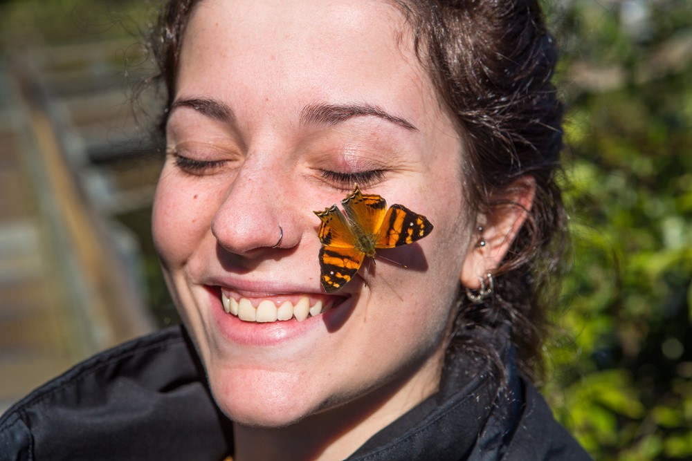 Un Papillon Se Pose Sur Un Visage