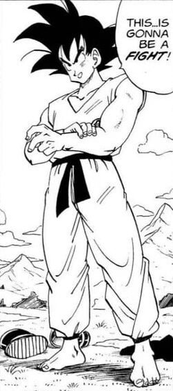 Image du manga Dragon Ball Z